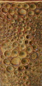 goldscaledtl