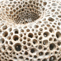 Hollow-Mobius-Vessel