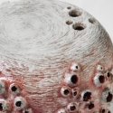 Scarlet Barnacle Stool