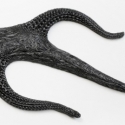black-branch-form2