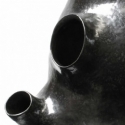 black-kidney-2