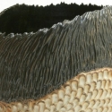 feathervasesmwblkborder