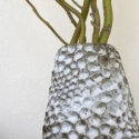 honeycomb-mikey-clser