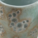 lichen-cups-blue_0
