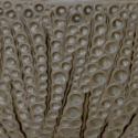 scale-cachepot-blkjpg
