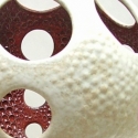 scarlet-lined-pod-vase