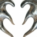 sofamandibleform